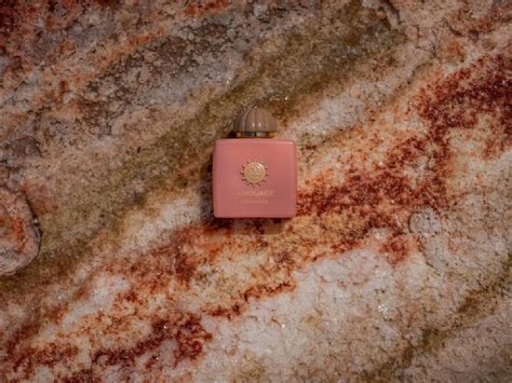 A Deep Dive Into Alice Kim's Full Name And Life Journey