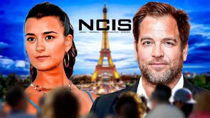 Cote De Pablo's Little One: Meet Her Adorable Daughter