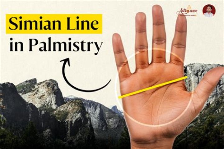 Discovering The Life Of Marcus Semien's Wife: A Deep Dive