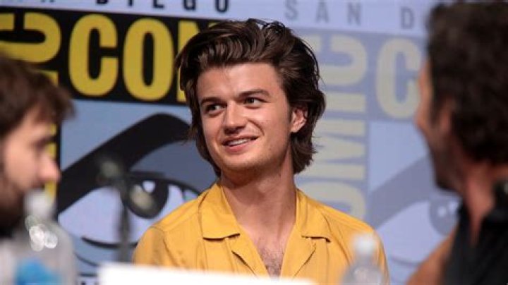 Free Guy: Who Is Joe Keery Twin Brother? His Siblings And Family Status