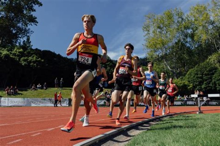 Is Lorde British? Unraveling The Mystique Of The Kiwi Sensation