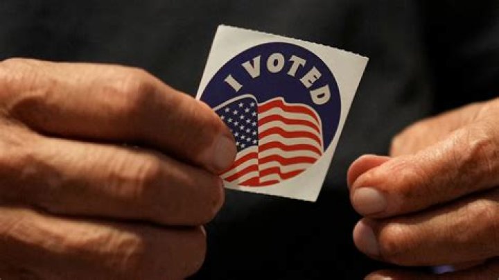 Krist Novoselic For President 2024: A New Voice For Change