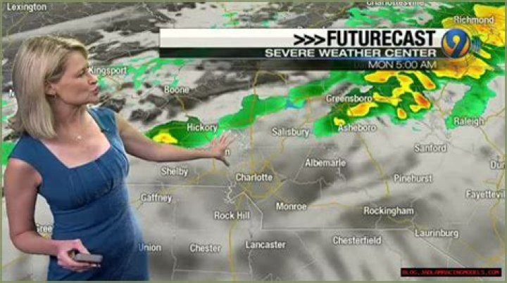 Leigh Brock Wiki, Age, Married, Engaged, Salary, Height (Meteorologist)