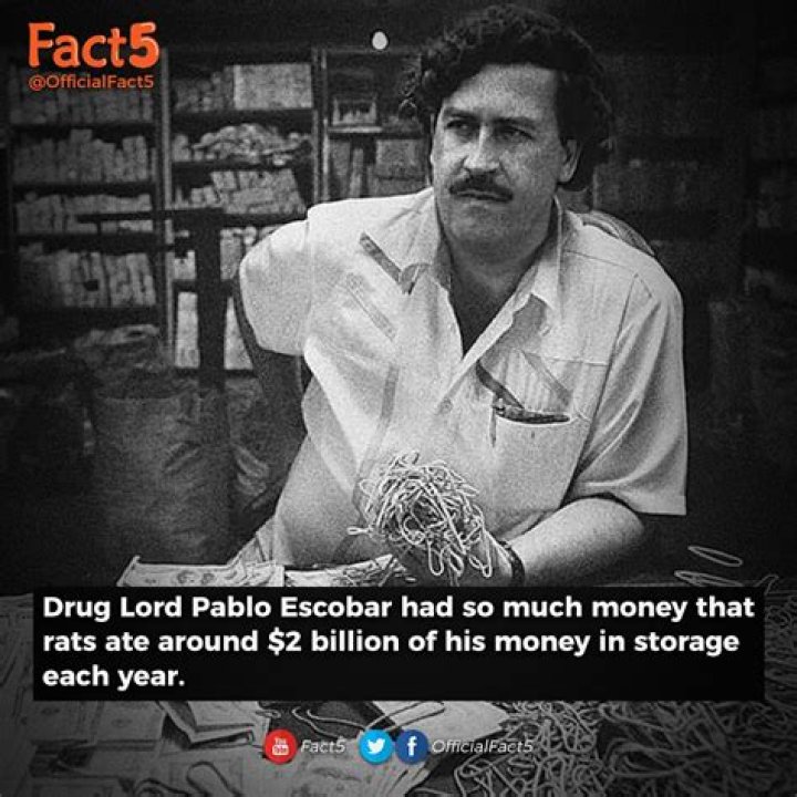 Unraveling The Enigma: How Much Money Did Pablo Escobar Make Per Day?