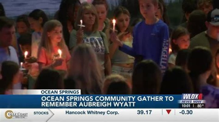 Unraveling The Mystery: How Was Aubreigh Wyatt's Body Found?