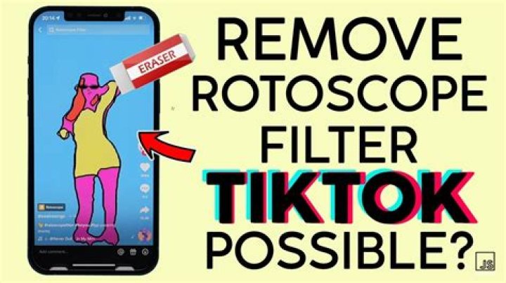 What Is Accgen Best Tiktok? Rotoscope Filter &amp; Account Details, What Does It Mean?