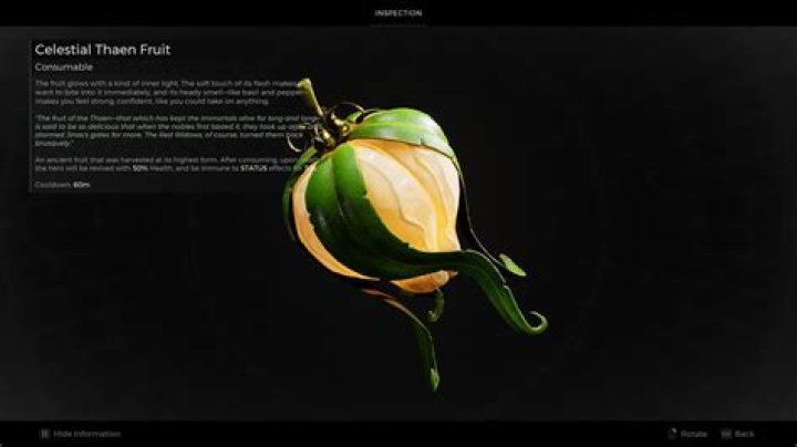 What to do with the Thaen Seed in Remnant 2