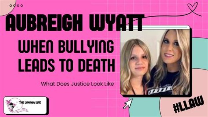Why The Unjust Bullying Of Aubreigh Wyatt?